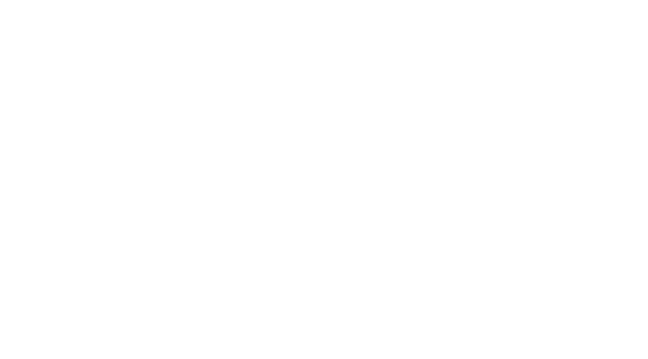 TRAICON Logo